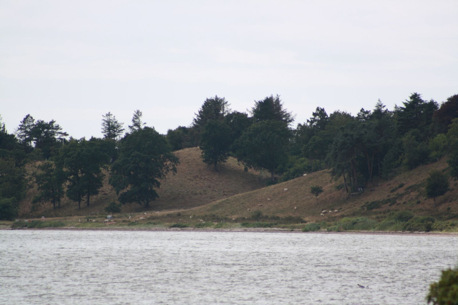 Kilderuten