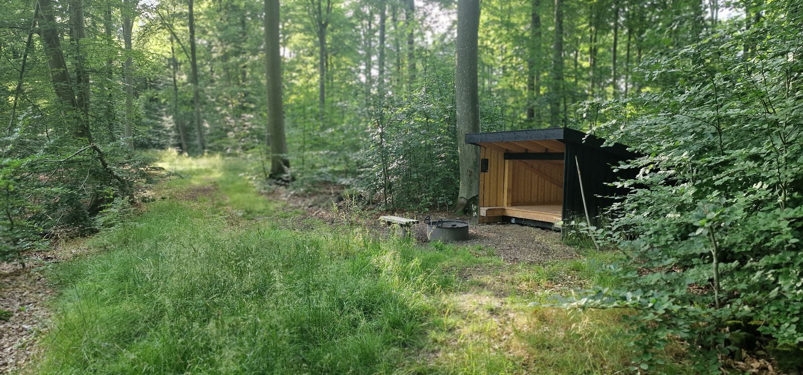 Shelter