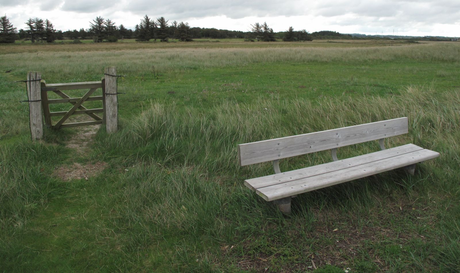 Bænk ved stranden