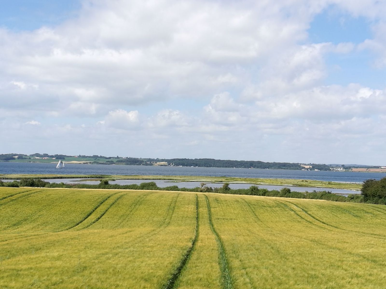 Udsigt over Det Nye Land fra Østensvej