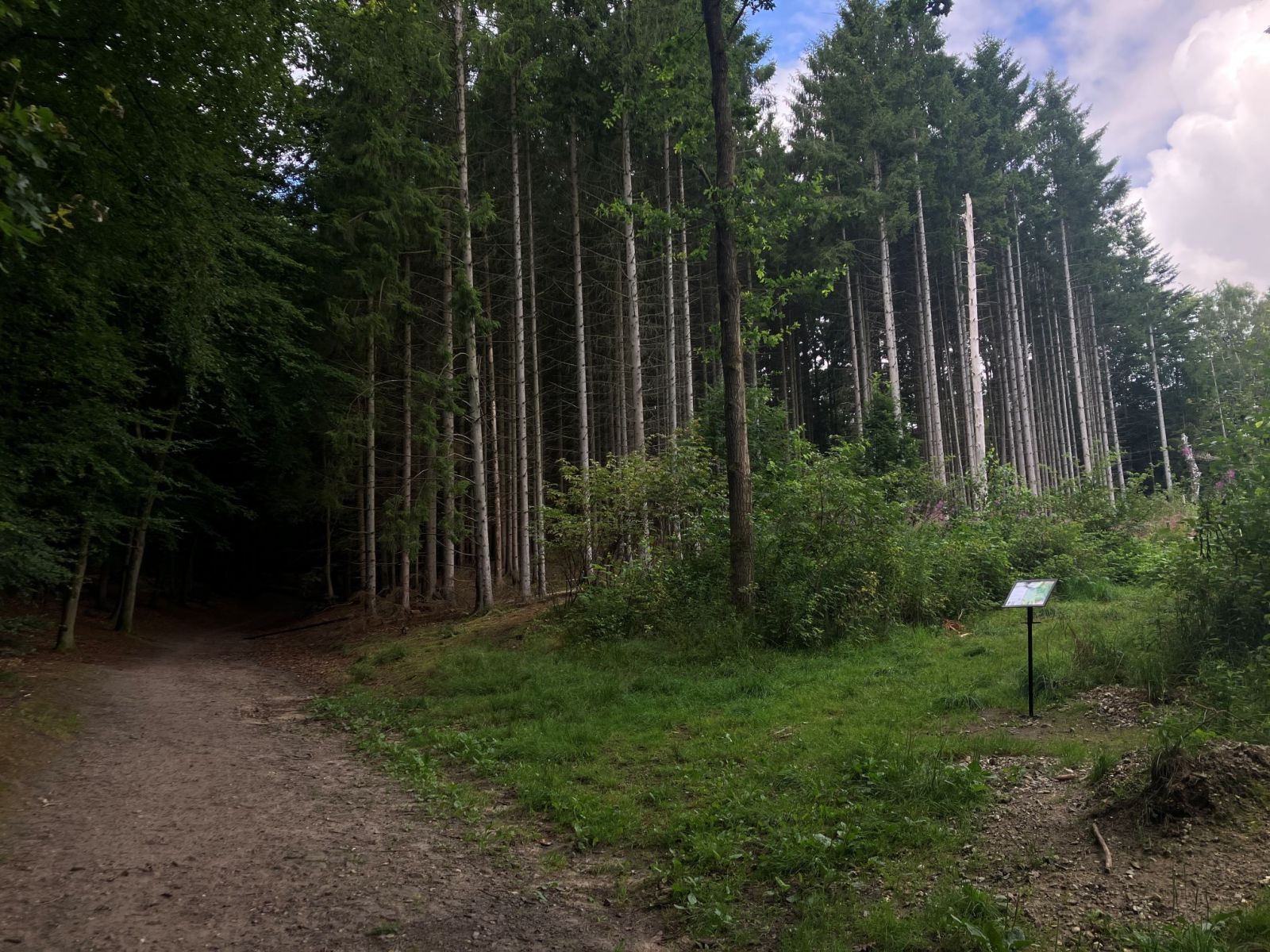 sti ind til shelteret