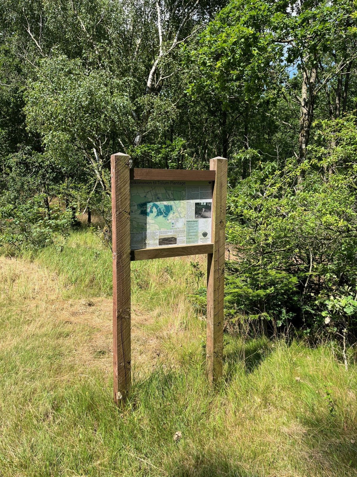 Informationstavle. I område ved Genforeningsstenen.