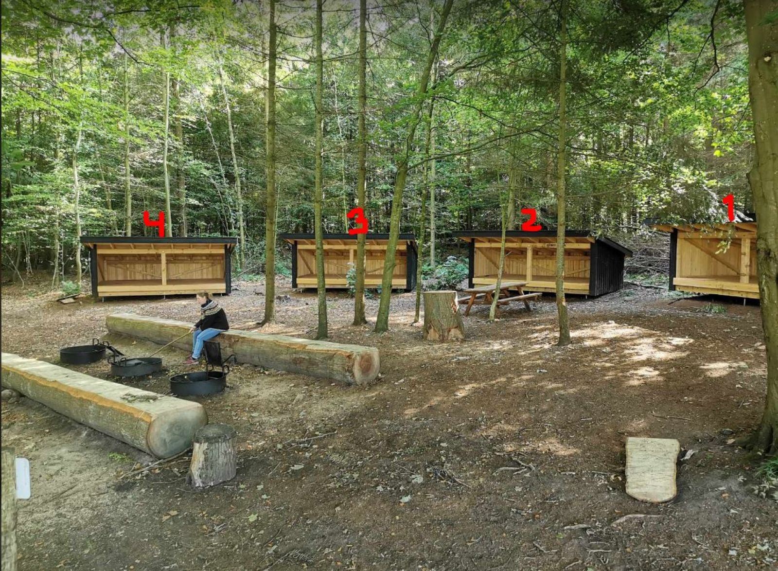 Shelter 3 - Sollerup Skov – miniature 1