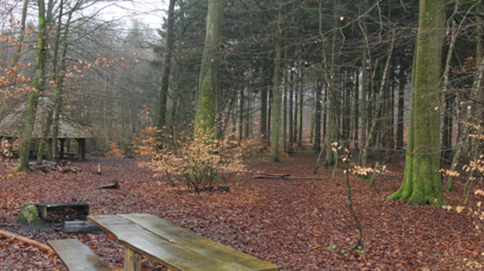 Borde/bænke og bålhytte