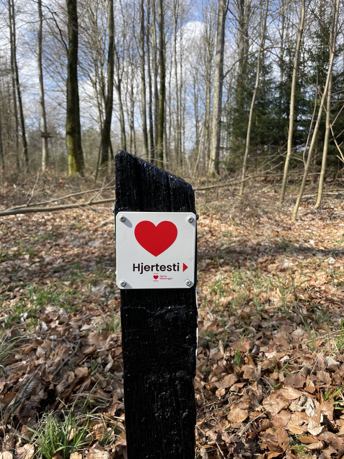 Hjertestien er afmærket med Hjerteforeningens logo. 