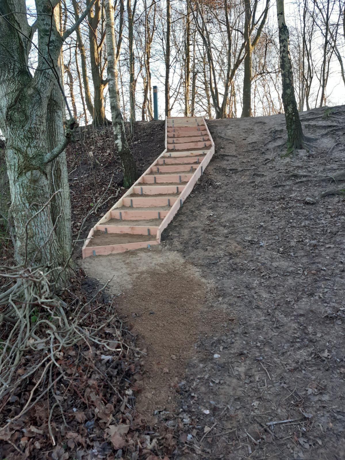 Trappe op til skovområde