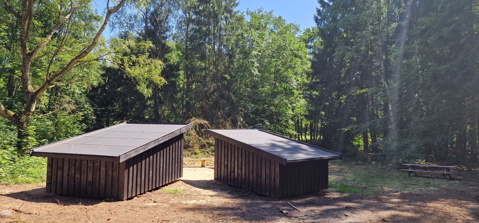 Billedet viser to shelters bagfra, beliggende i en lysning i overgangen mellem nåle- og løvskov
