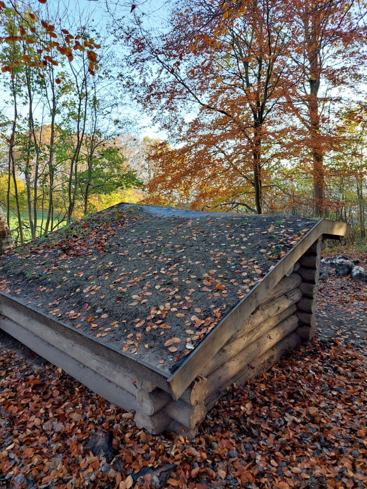 Shelter i Hørhaven på bakken – miniature 3