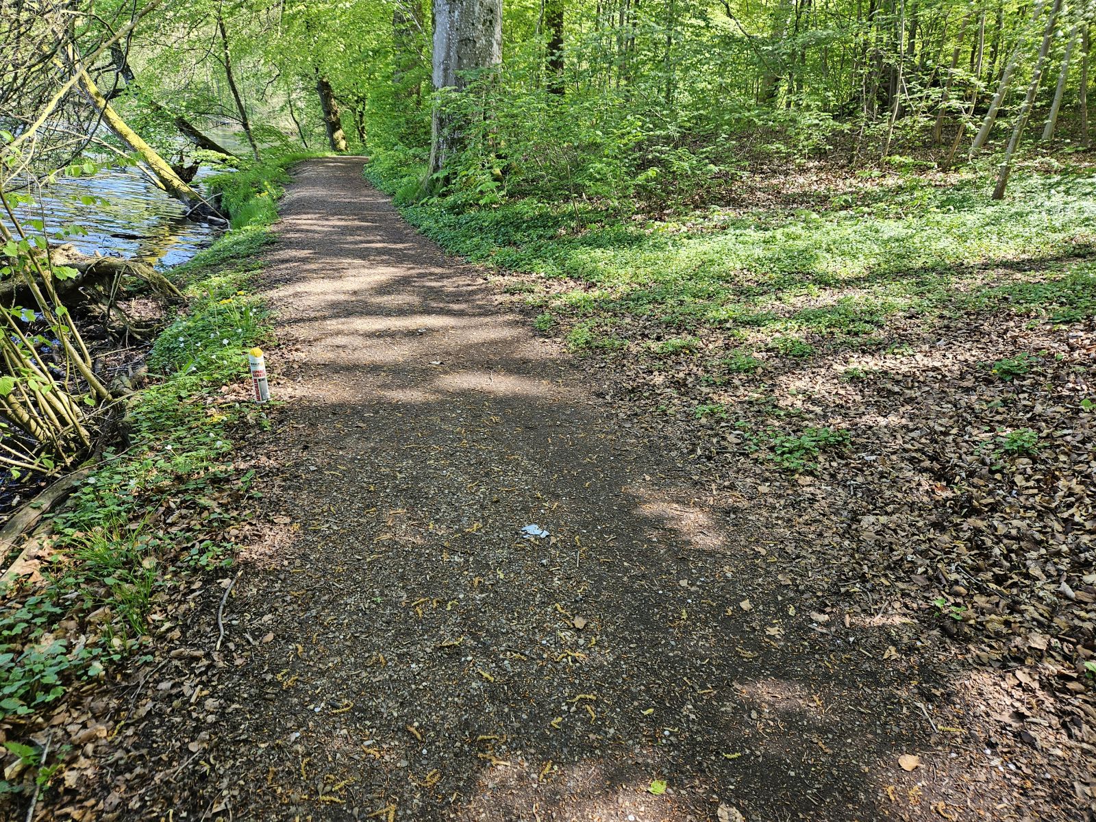 Stien løber på en strækning helt ned ved vandkanten ag Bygholm Sø. Ved høj vandstand kan stien blive fugtig.