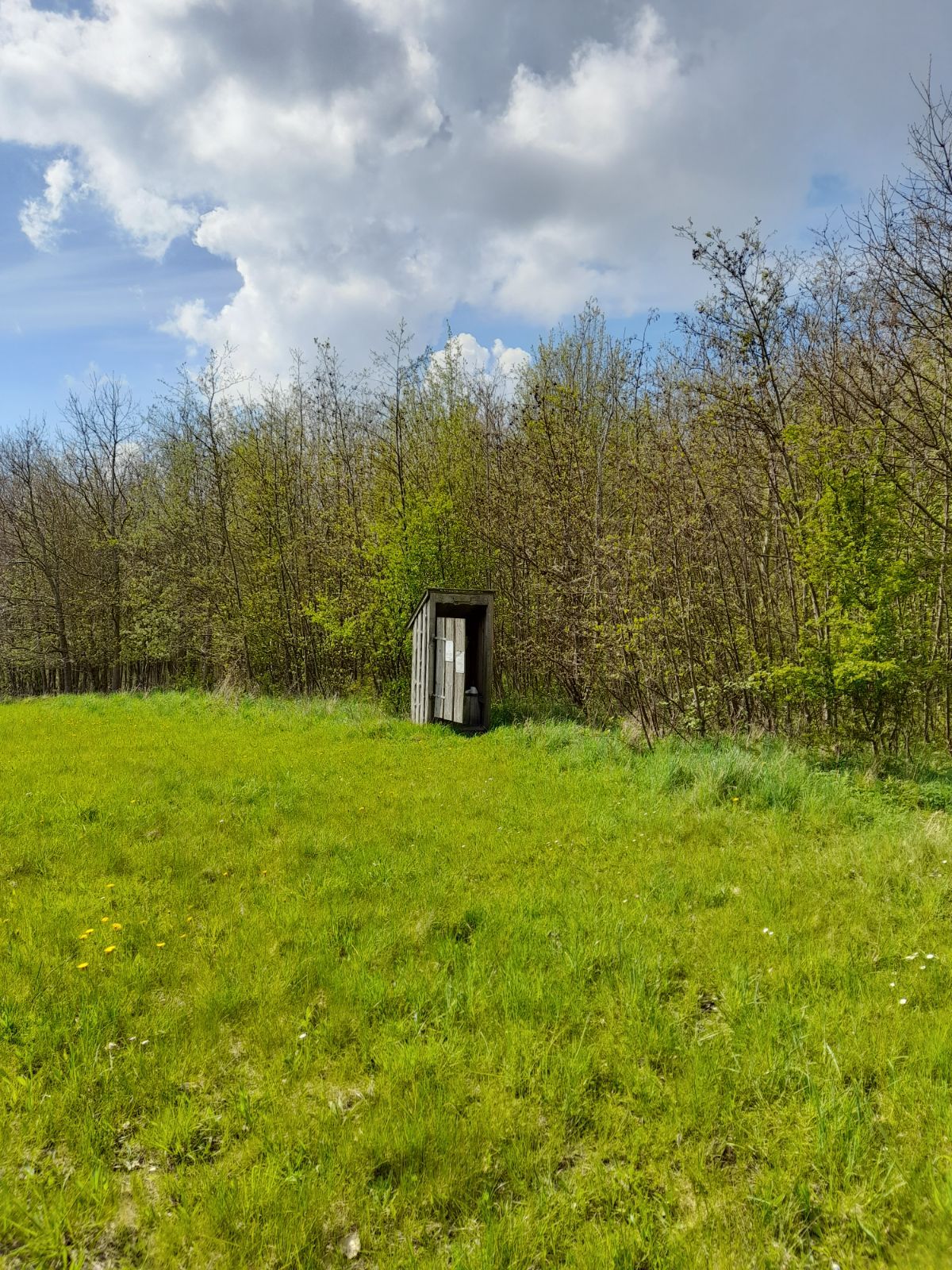 Multtoilettet på græsområdet i Stege Skov. 