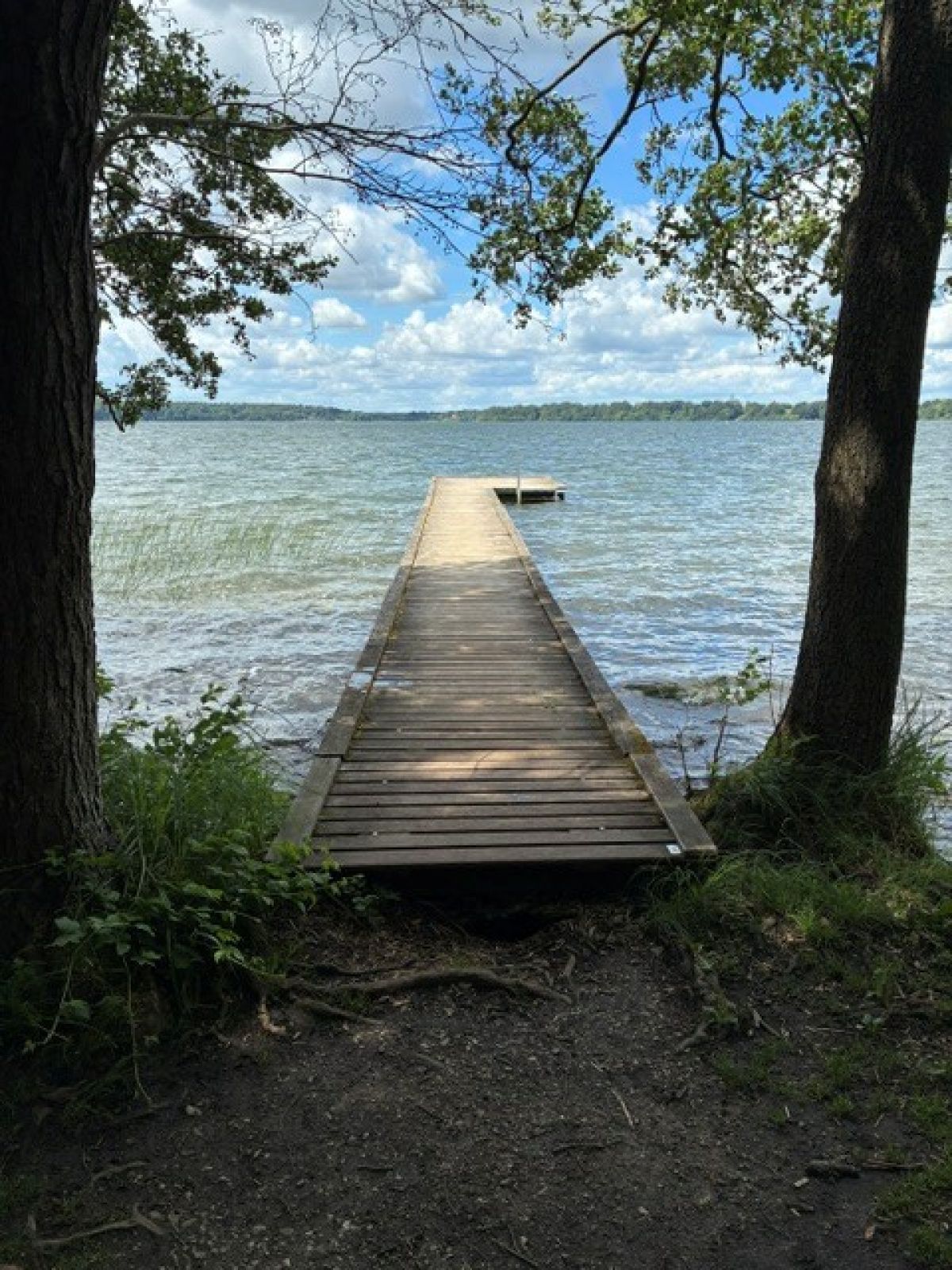 Badebro