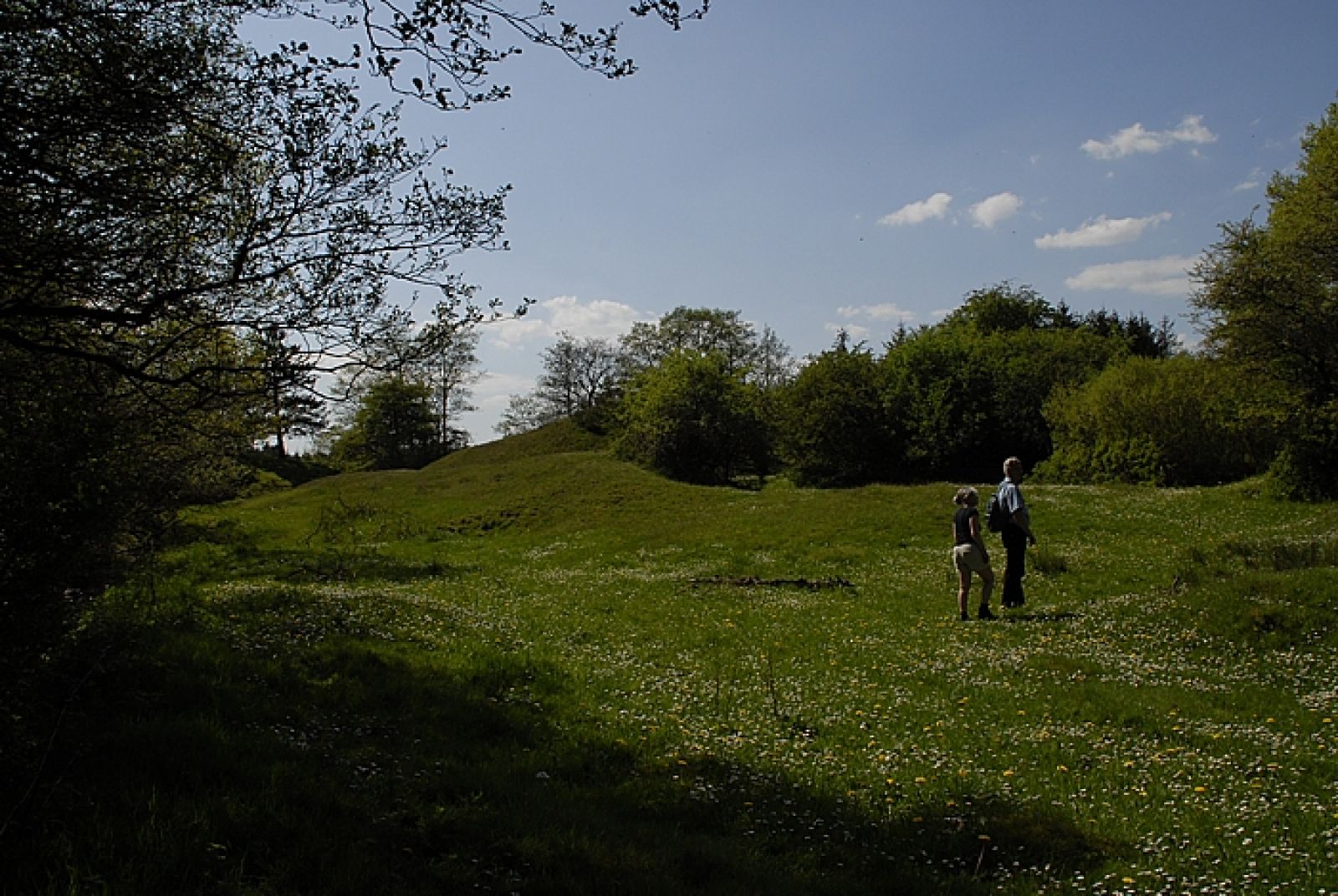 Lerskov Plantage, free pitch in Denmark