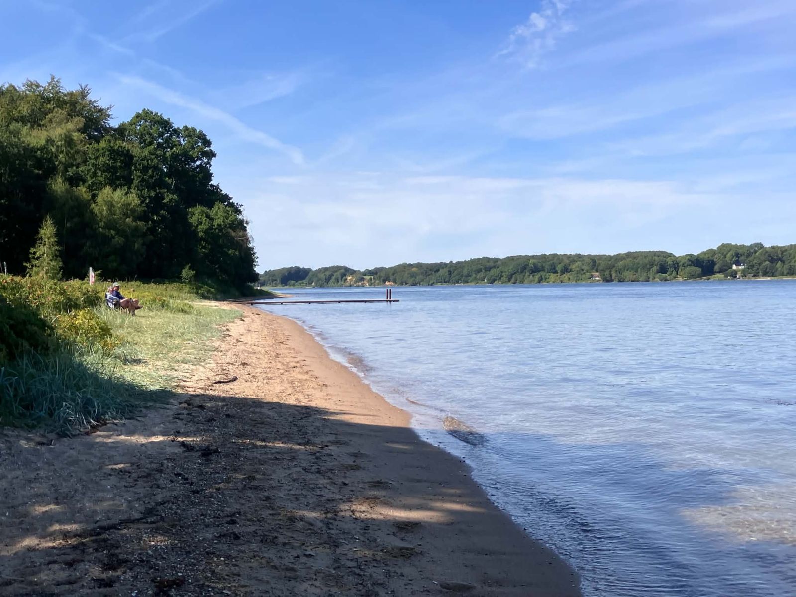 Strandkant med skov i baggrunden