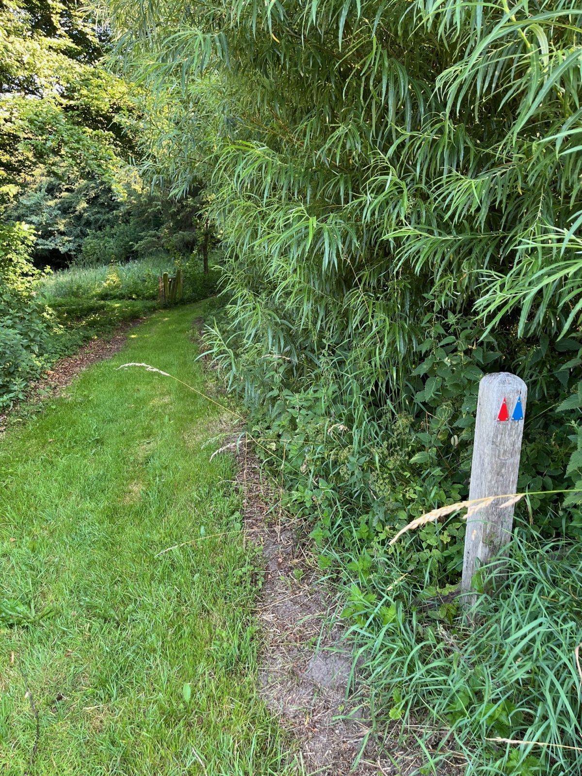 Piktogram med blå pil som skal følges. 