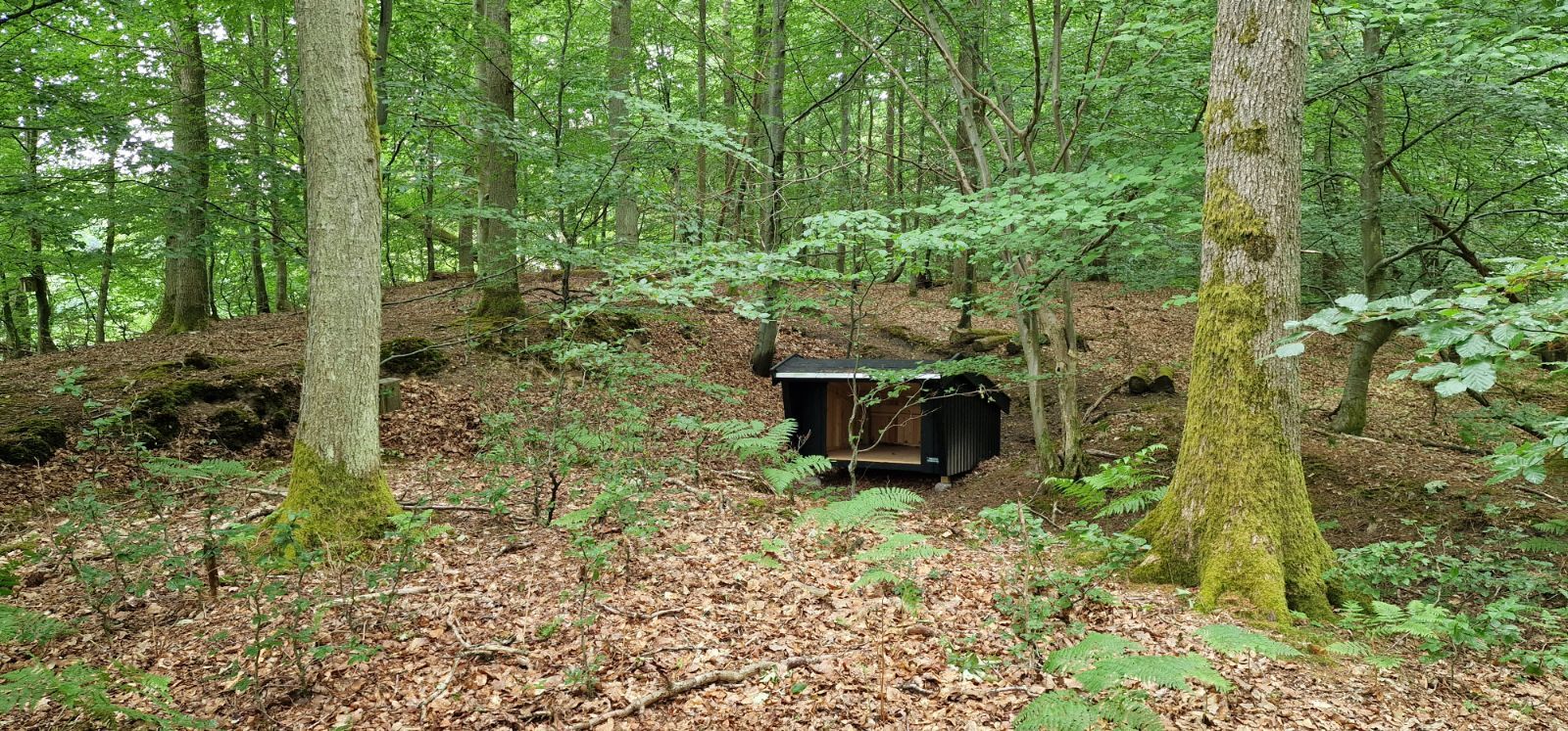 Vipstjerten shelter – miniature 3