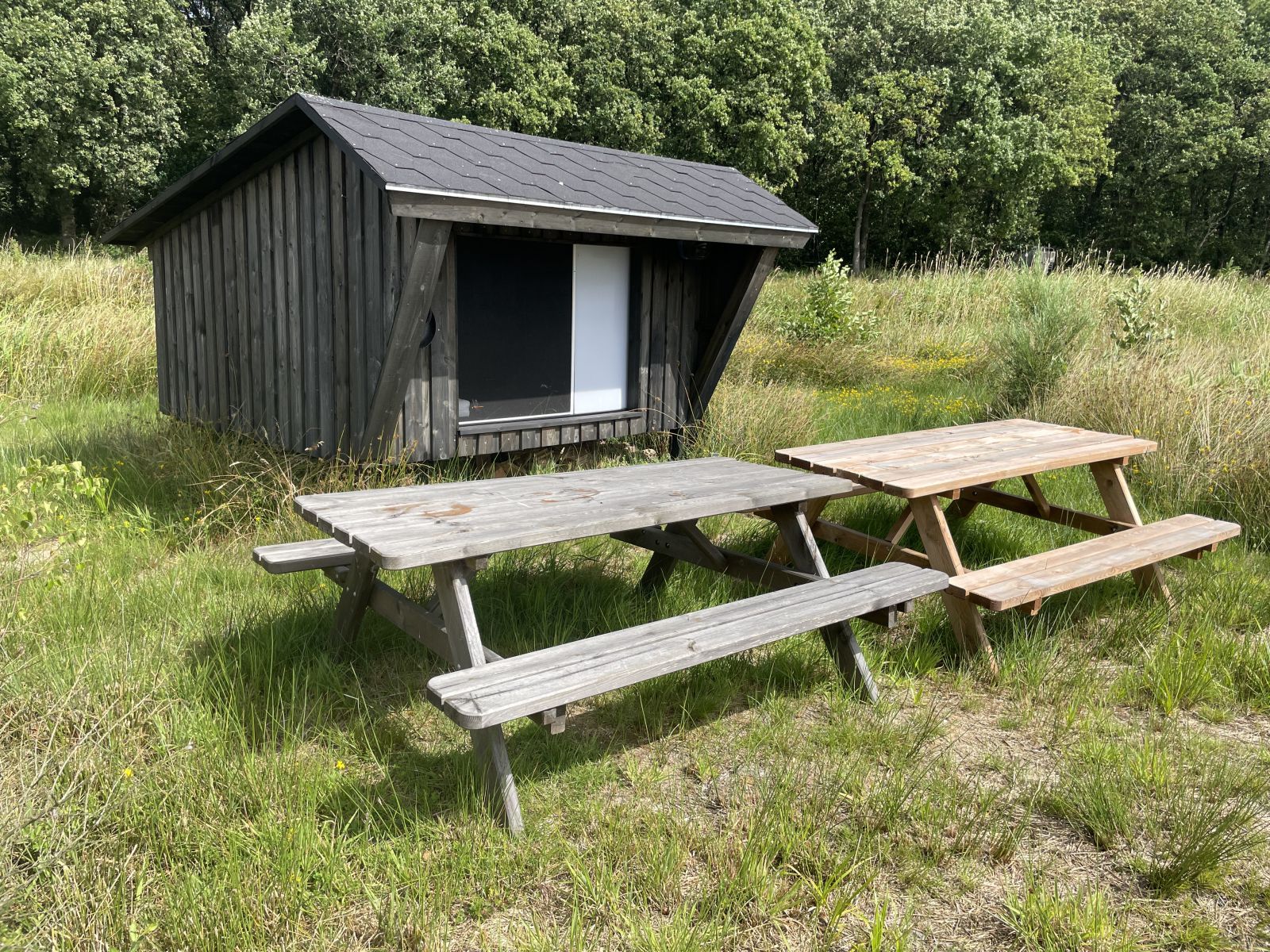 Shelter ved sø