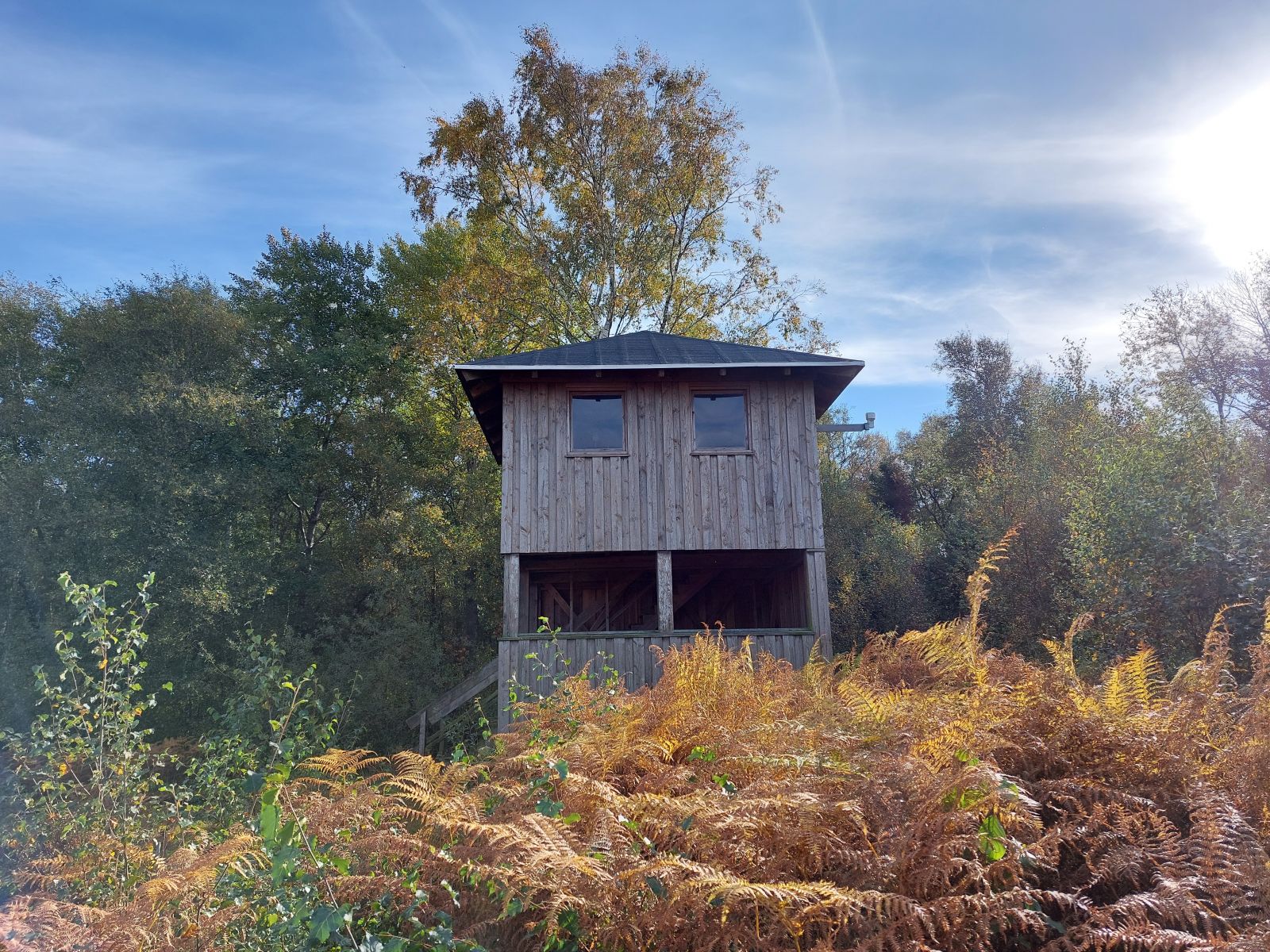 fugletårnet set fra mosen