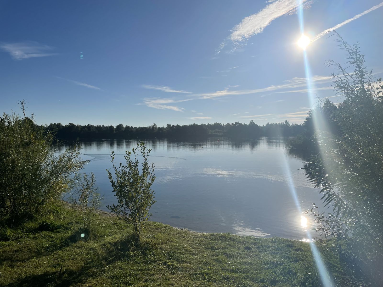 En typisk udsigt i Tarup-Davinde. Vand, beplantning, måske blå himmel og sol. 
