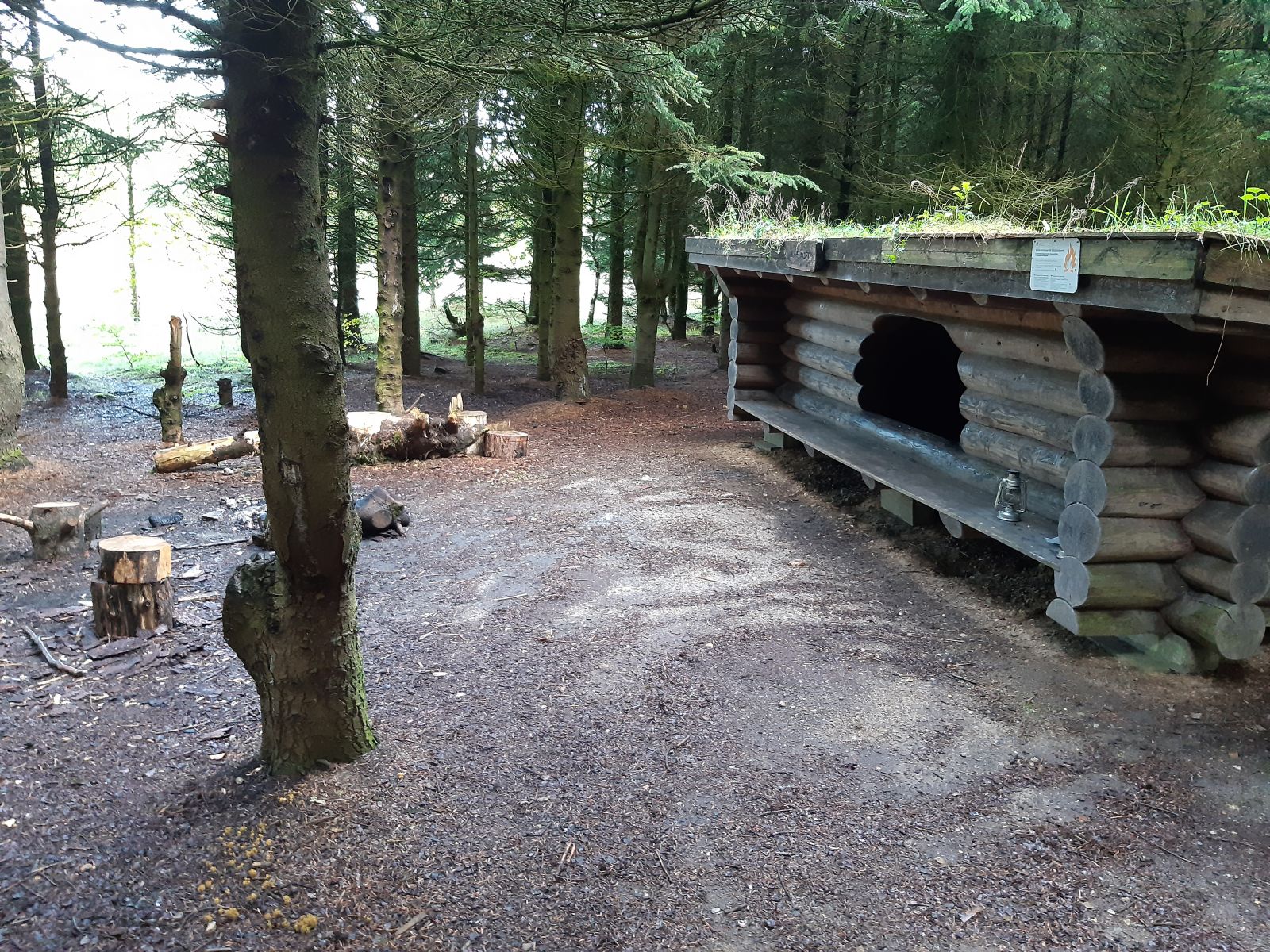 Lejrplads Sjørup Skov  - shelter nr. 1 (bookbar)                    – miniature 1