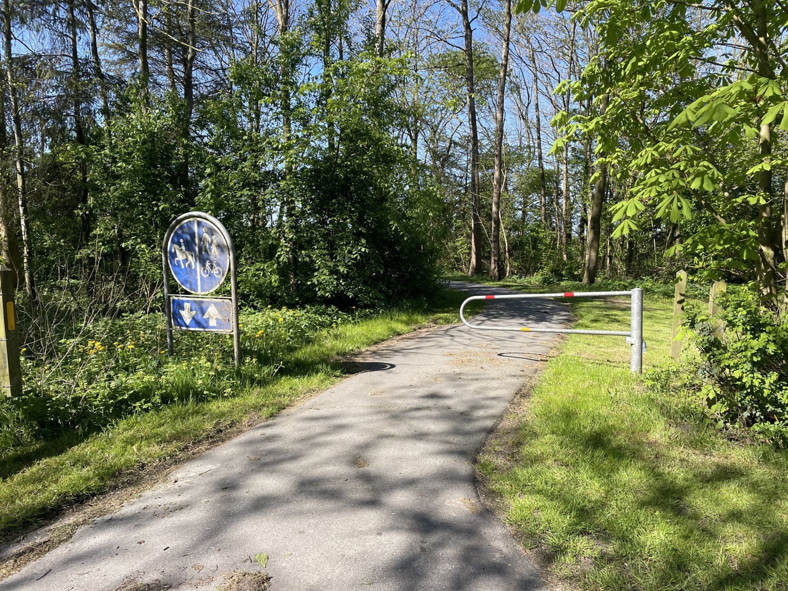 Vestsallingstien