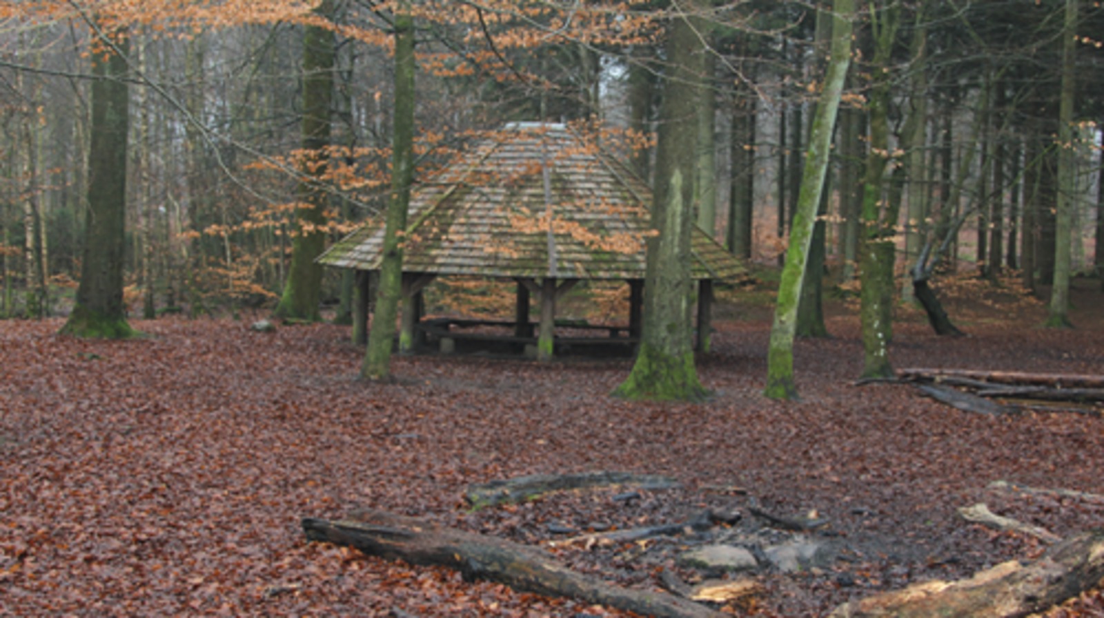 Bålhytte og bålplads