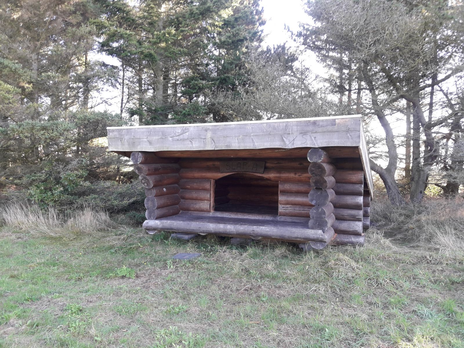 Krægpøt – miniature 1