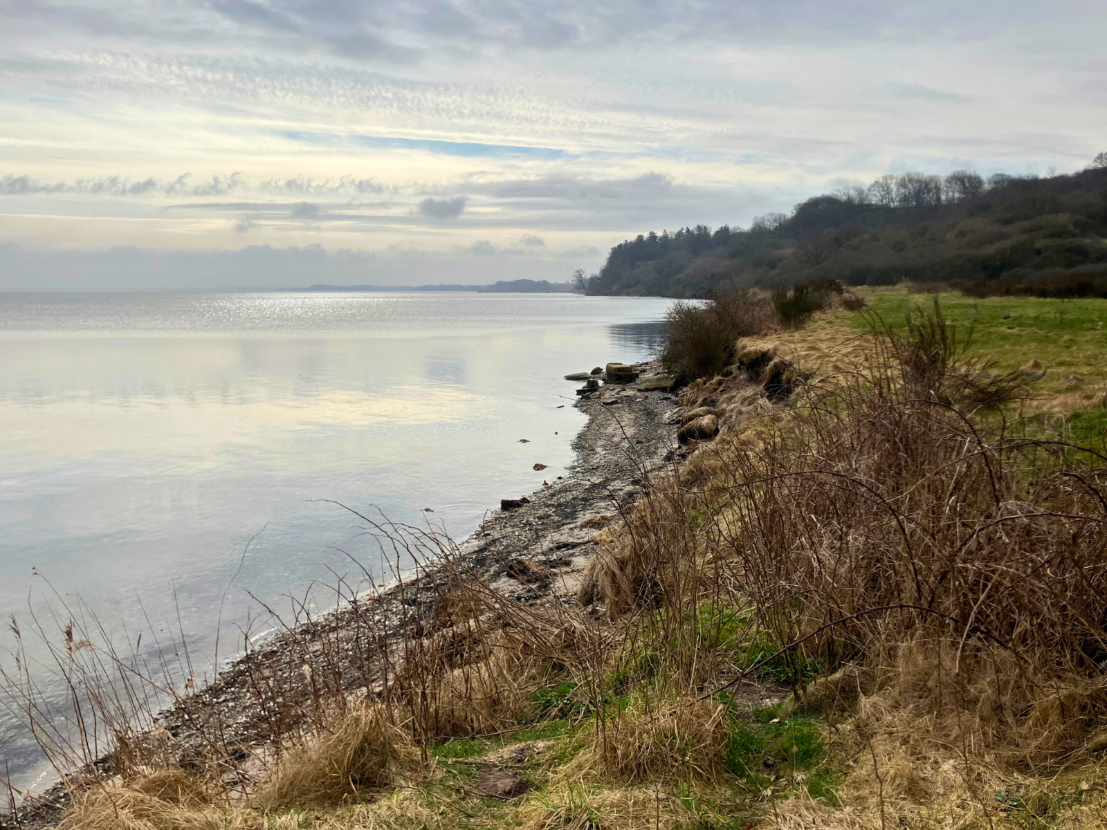 Limfjorden ved Urhøje