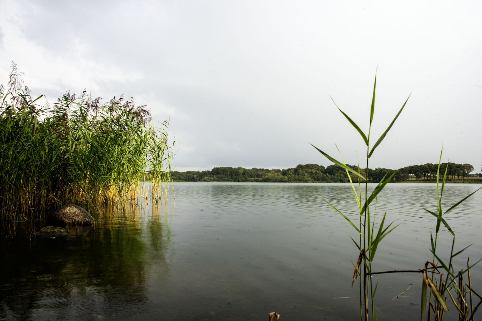 Udsigt fra vandreruten