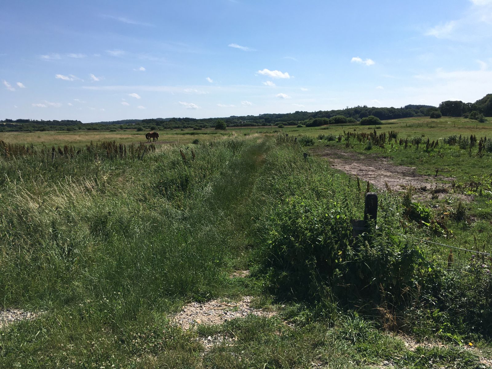 Sti ned til ophalerplads 