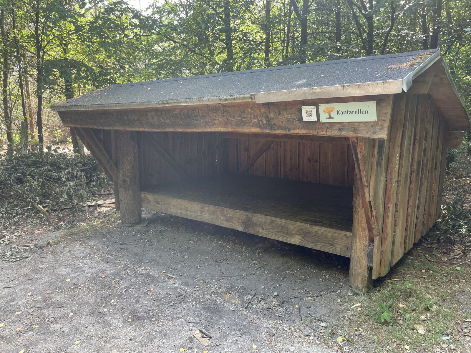shelter