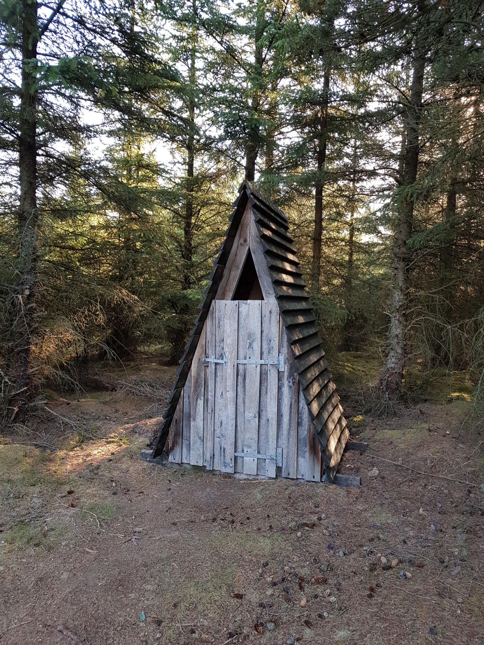 Stenbjerg ved shelterplads, shelter in Denmark