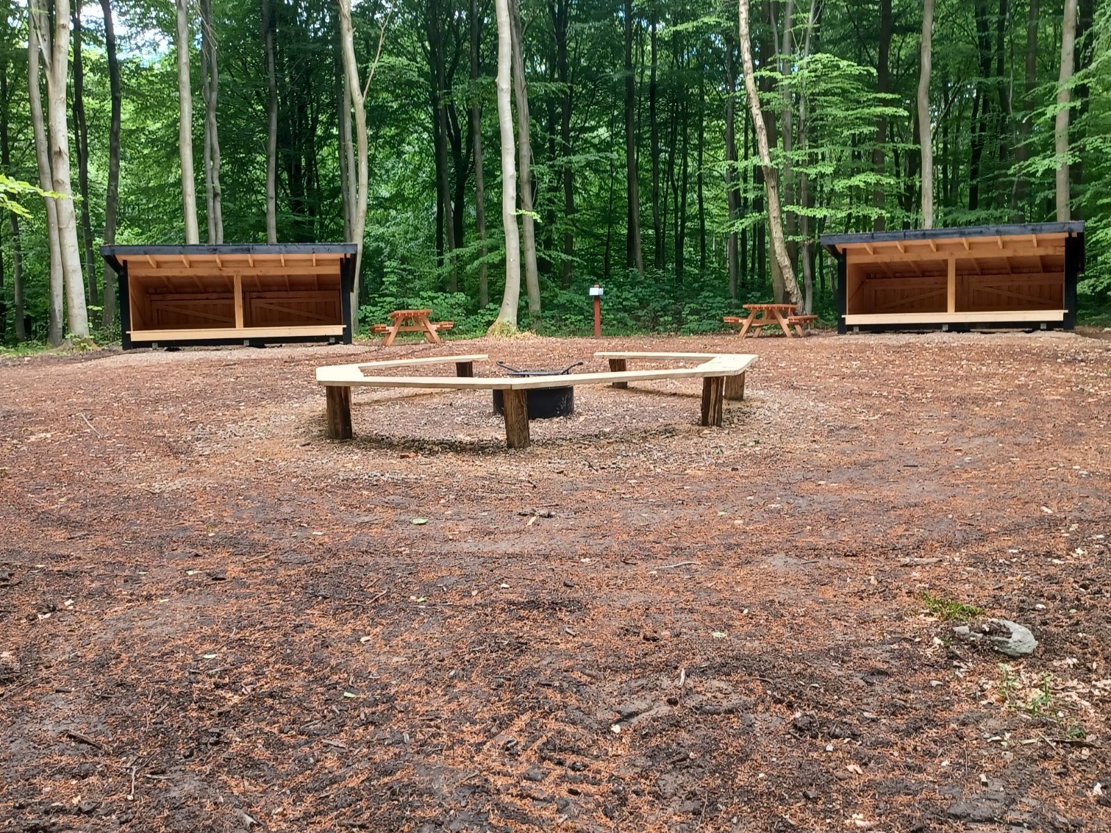 Slagslunde Skov, shelterplads med to shelters – miniature 1
