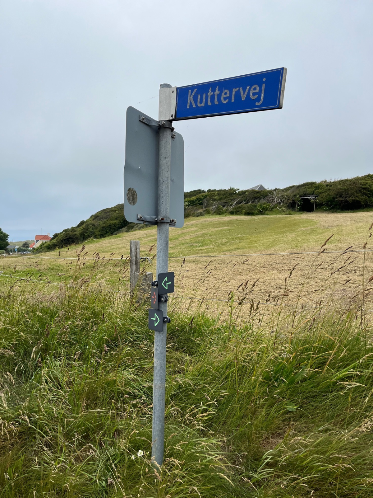 Bunden af Kuttervej hvor man ser vejskiltet, der også viser piktogram for Grøn og Rød Kløversti.