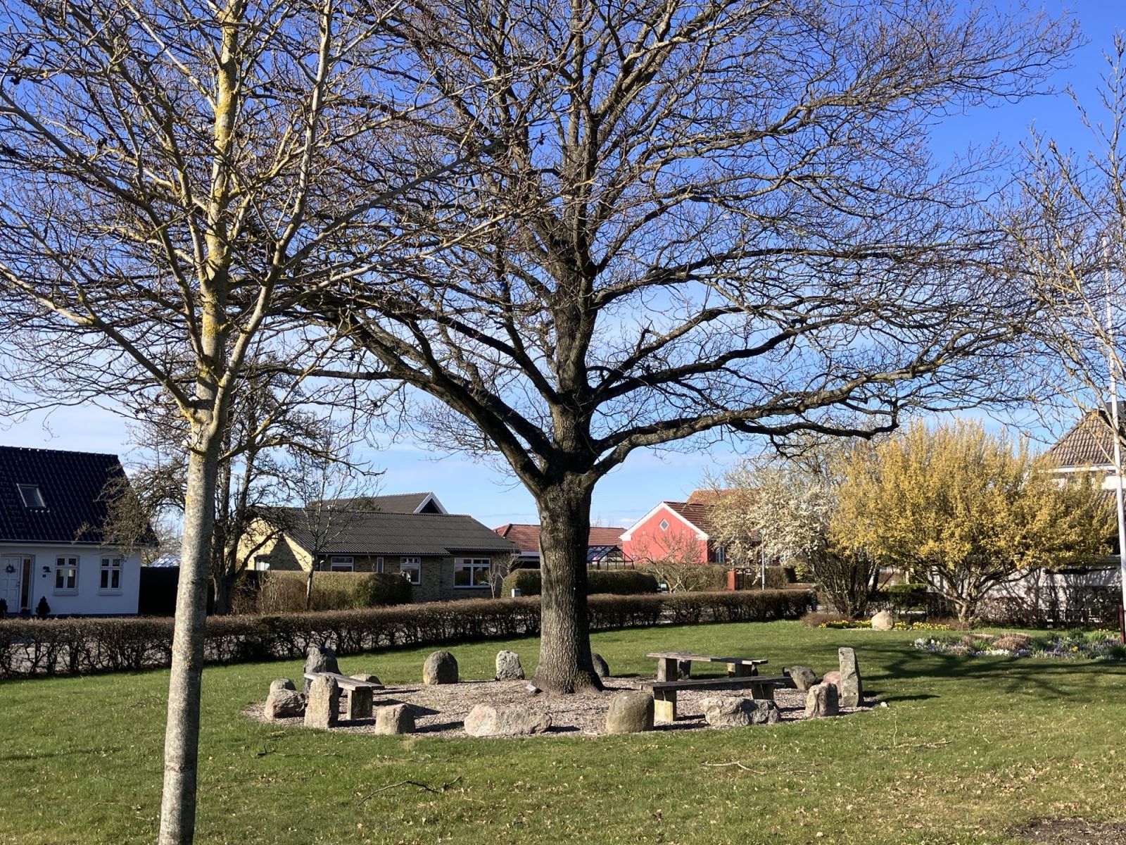 Stenbænke under asketræ