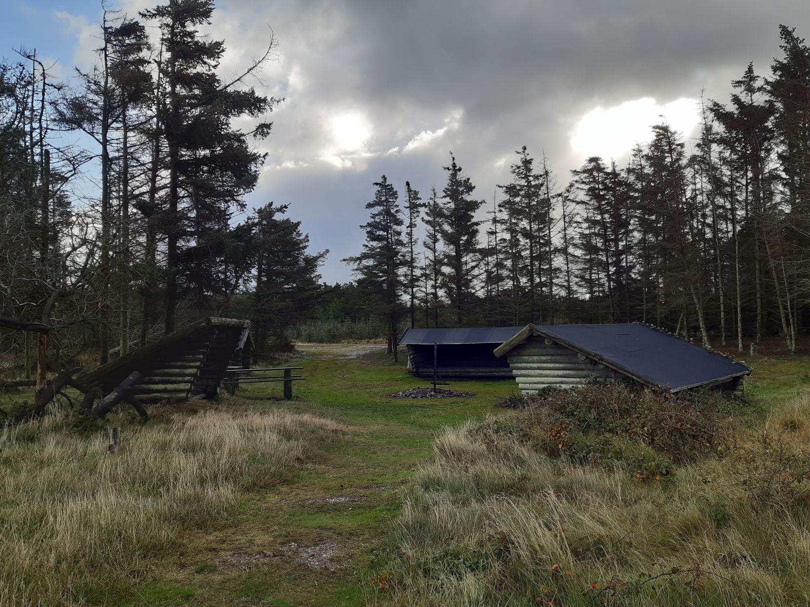 Billede af shelterpladsen