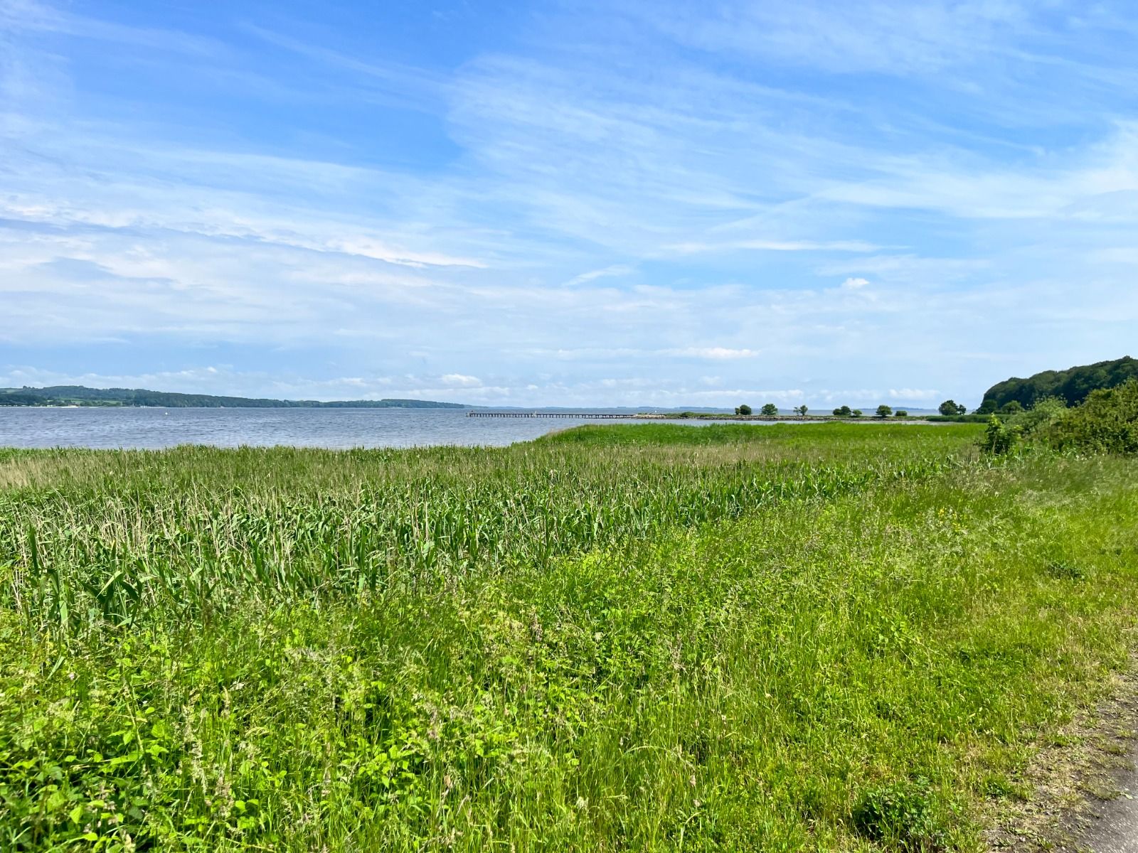 Flere steder er der en flot udsigt over Horsens Fjord og by