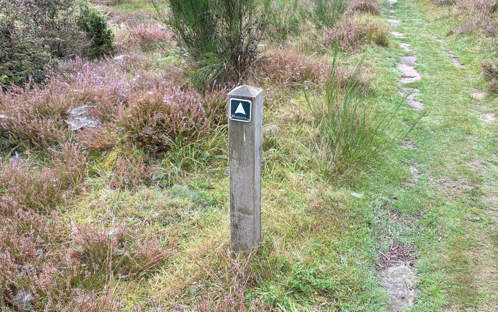 Hærvejens Perler Hammer Bakker