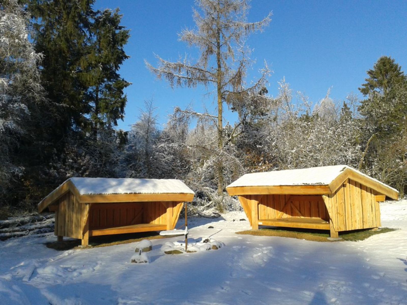 Ilskov Shelterplads – miniature 2