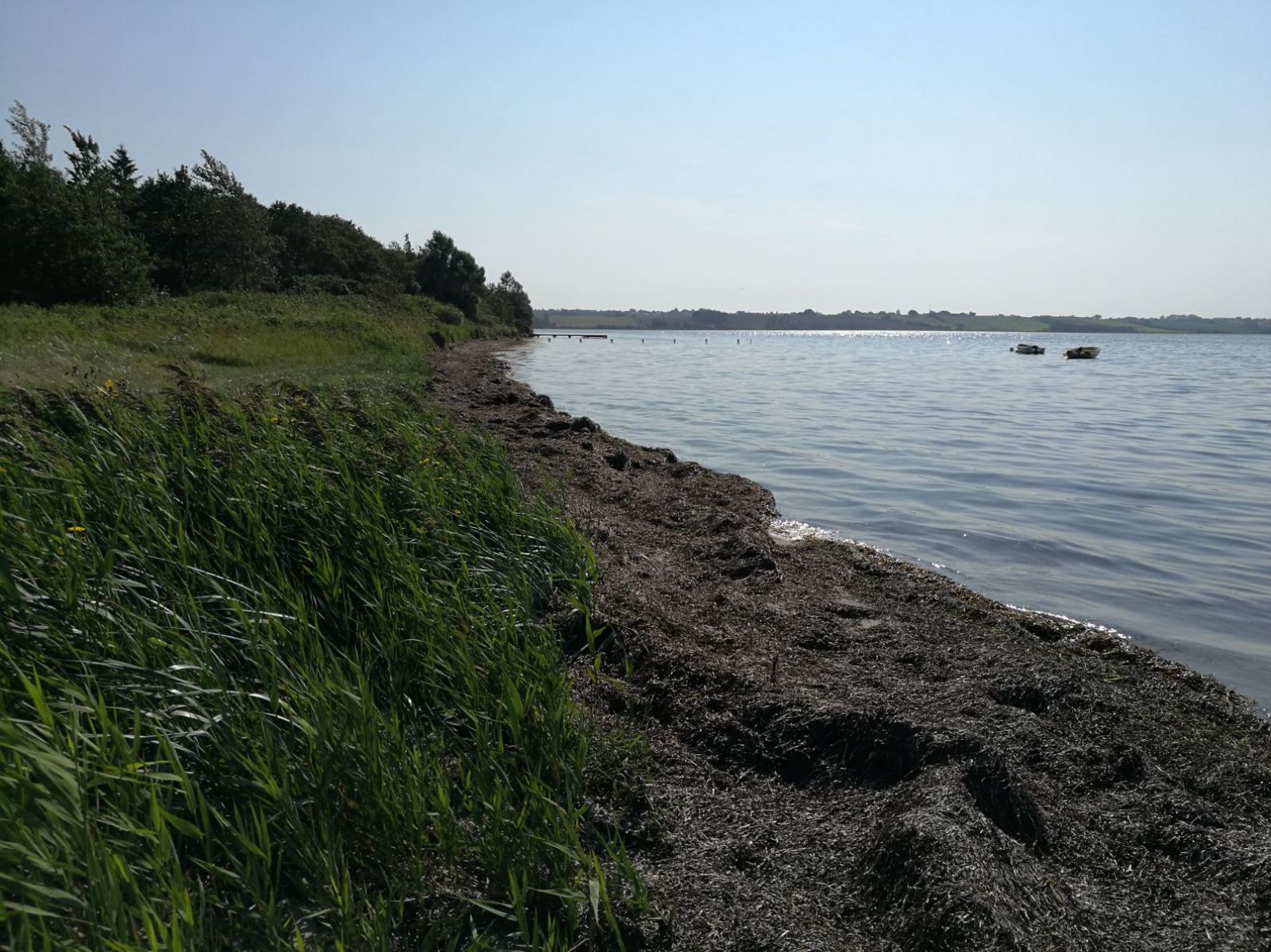 Stranden modsat Møllebækken