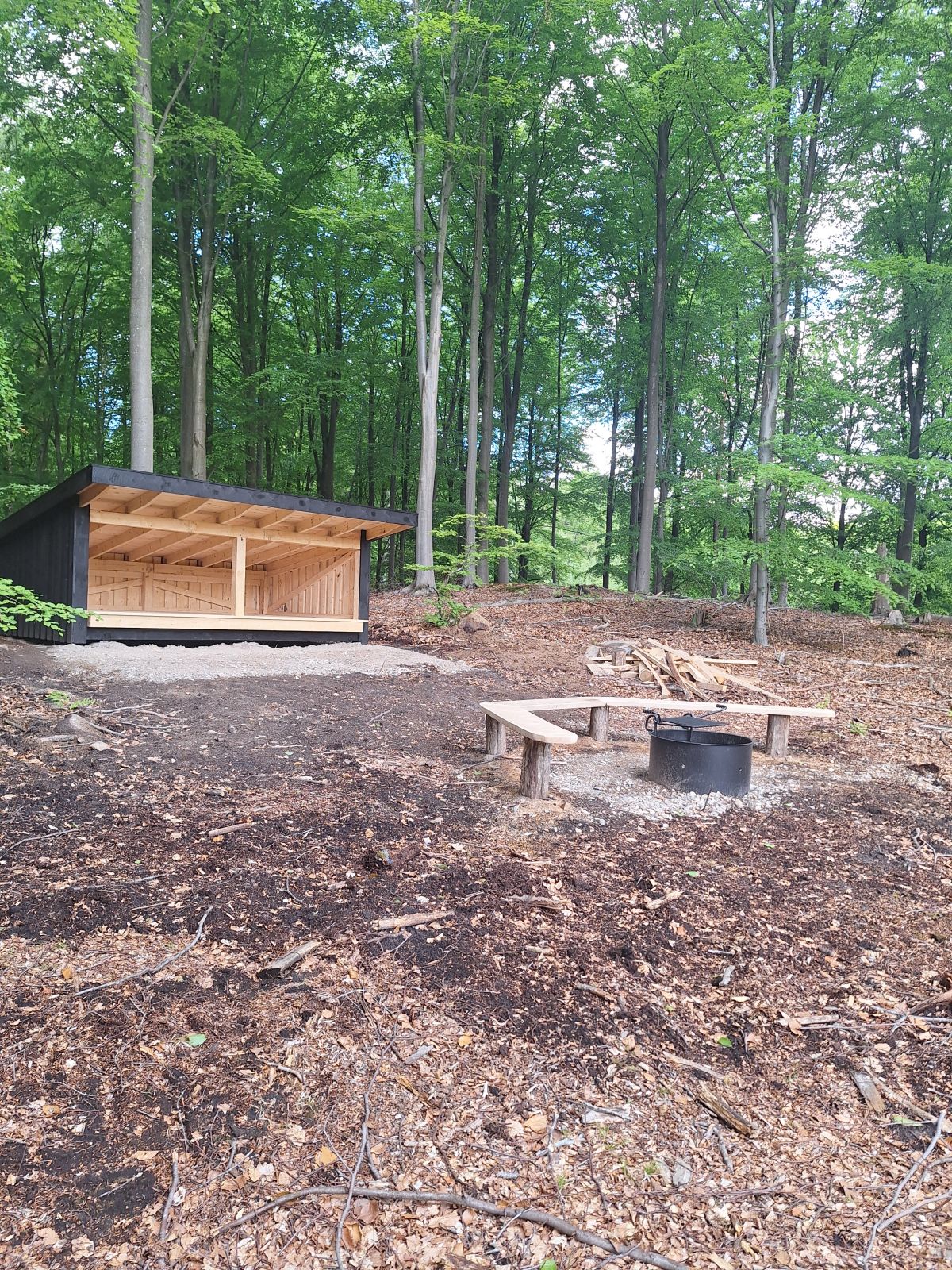 Ravnsholt, Shelterplads ved Trodsemose – miniature 2