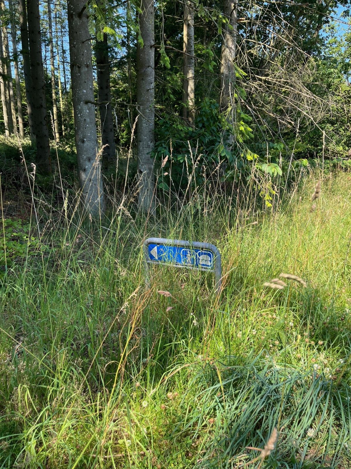 Skiltning for ruten. Ruten er for gående. Retning mod gravhøj.