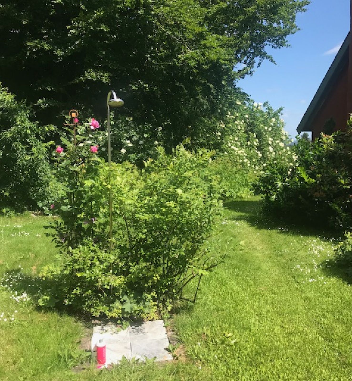 Sønderås – miniature 2
