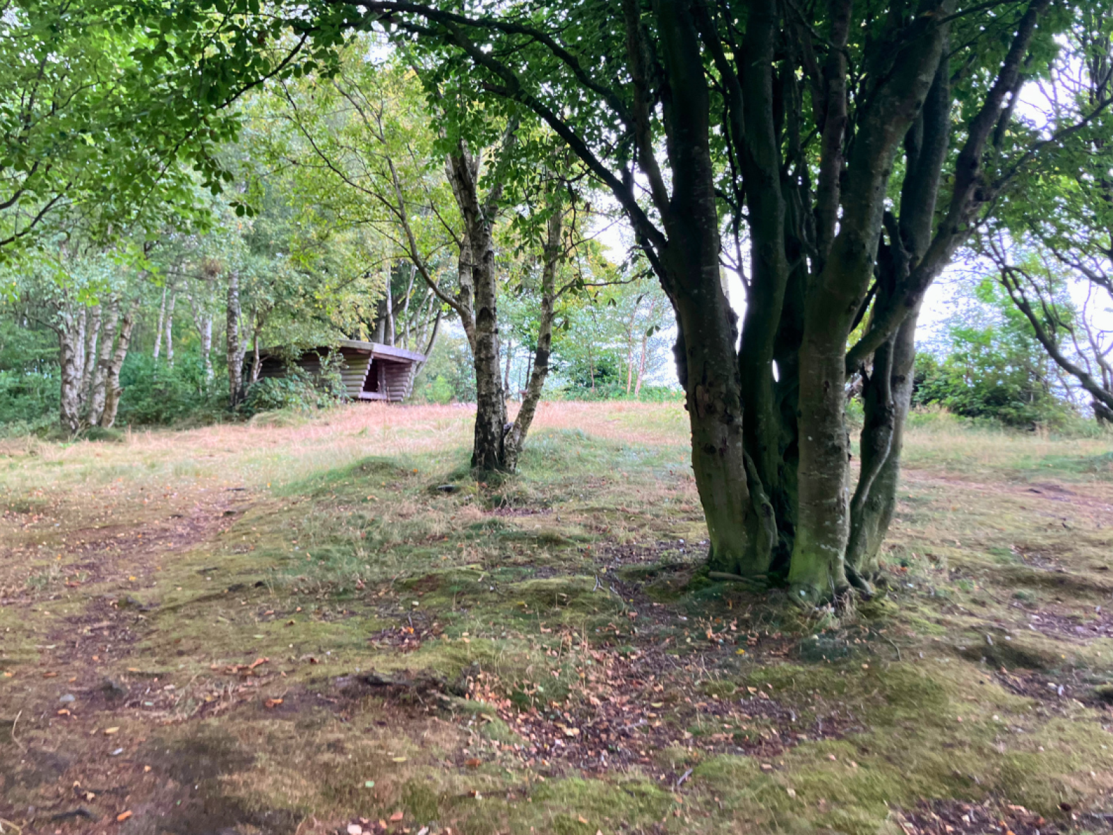 Shelter ved Engelstør Odde