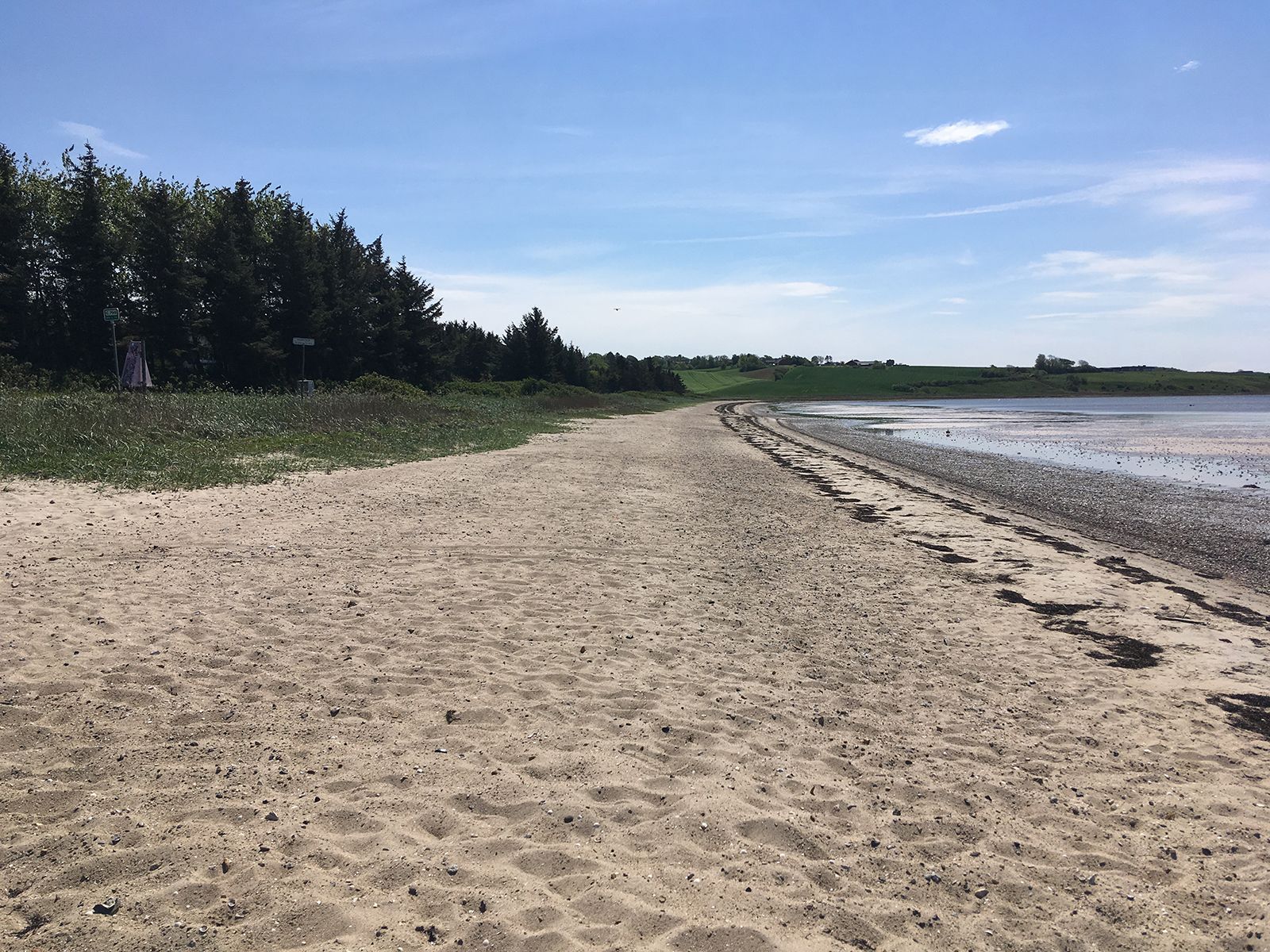 Harre Vig Strand Udinaturen dk Harre Vig Strand Udinaturen dk