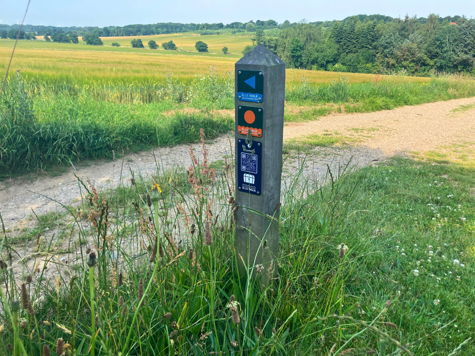 Vandreruten Blue Walk ved Mogenstrup