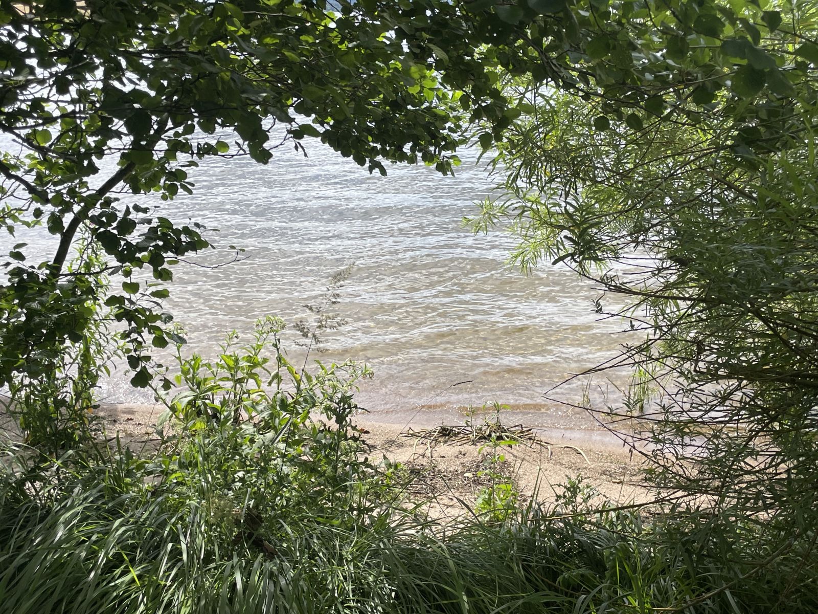 Strand og vand