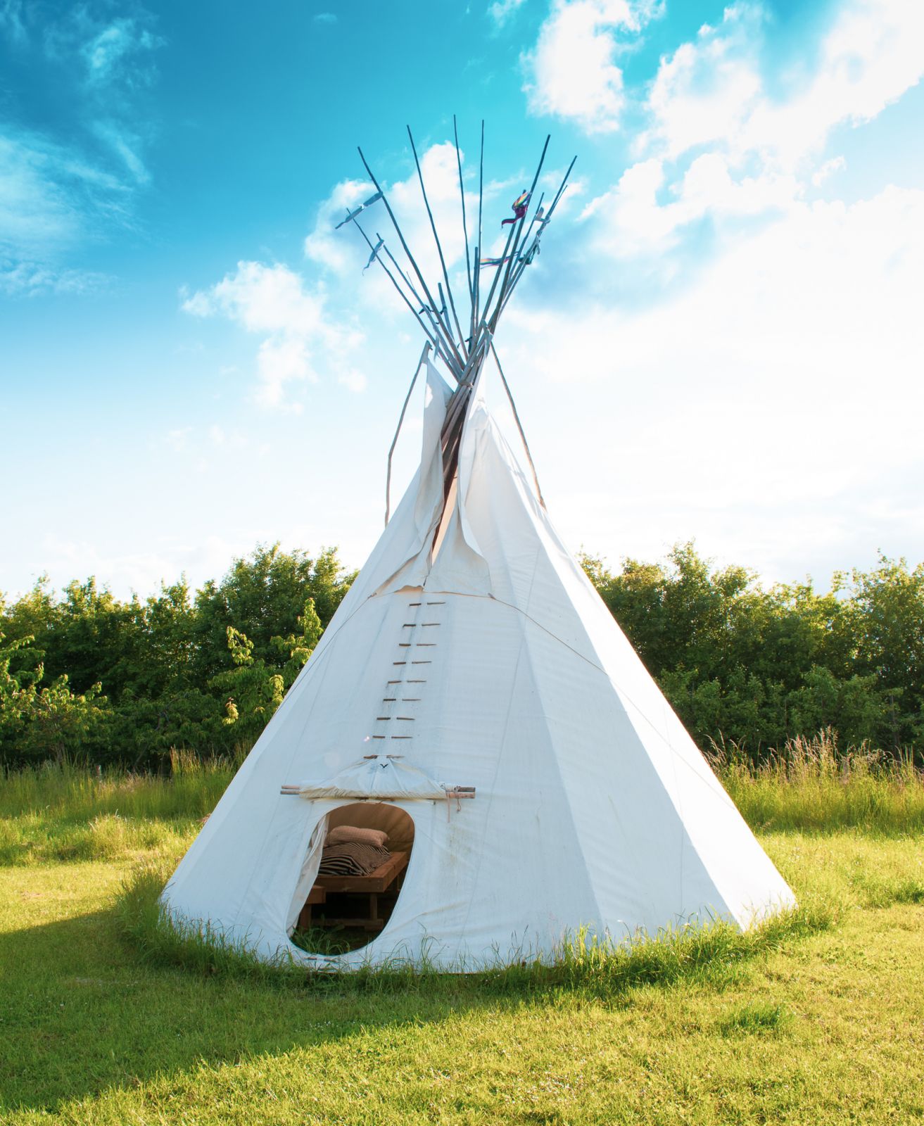 Tipi og shelters i frugtplantagen – miniature 5