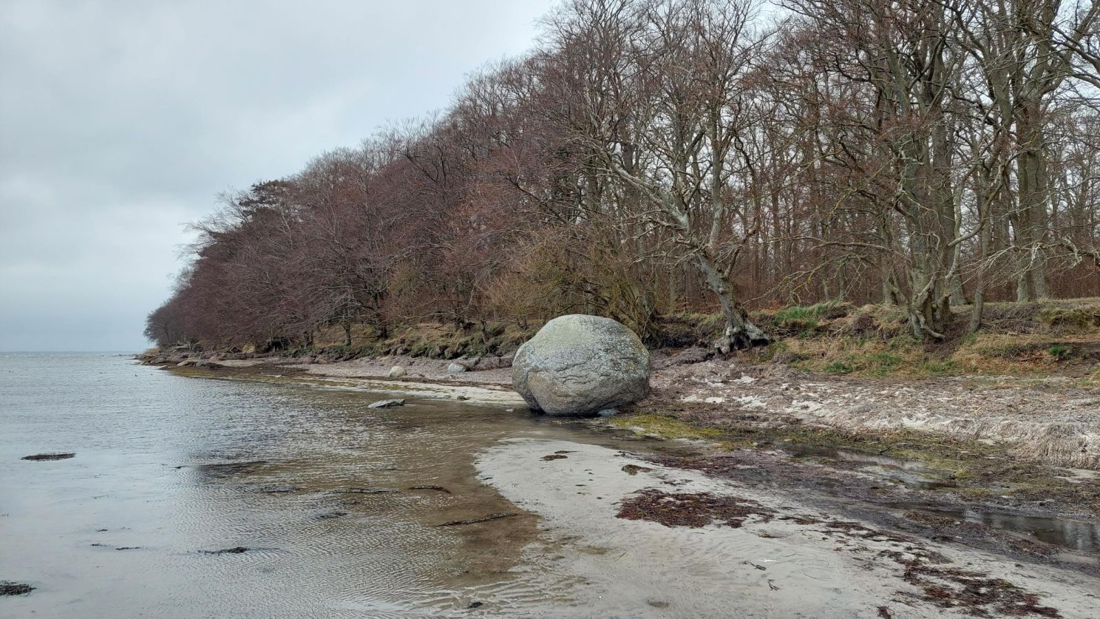 Musestenen på stranden 