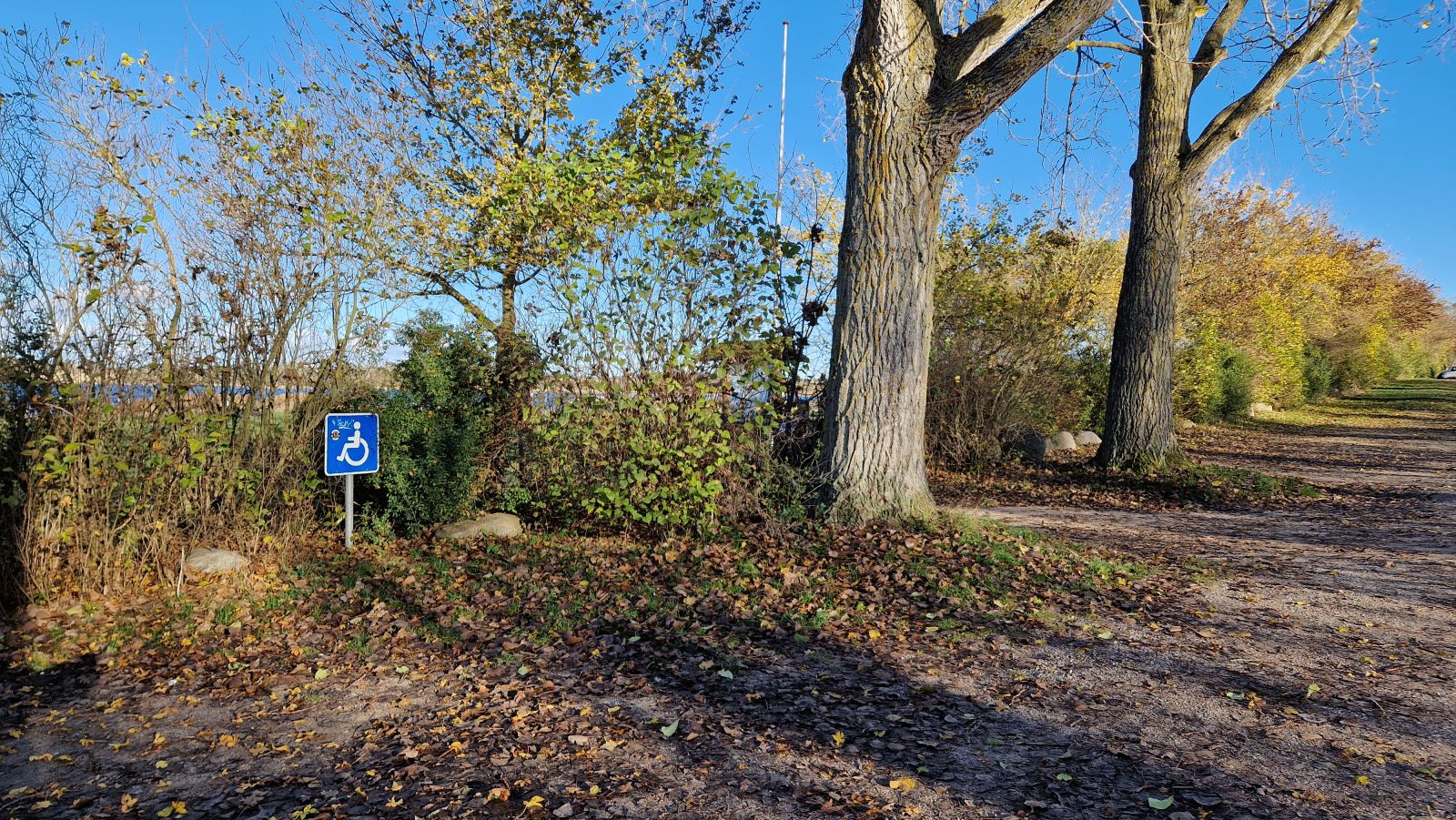 Reserveret P-plads til personer med handicap, hvor der er adgang til strand uden trapper