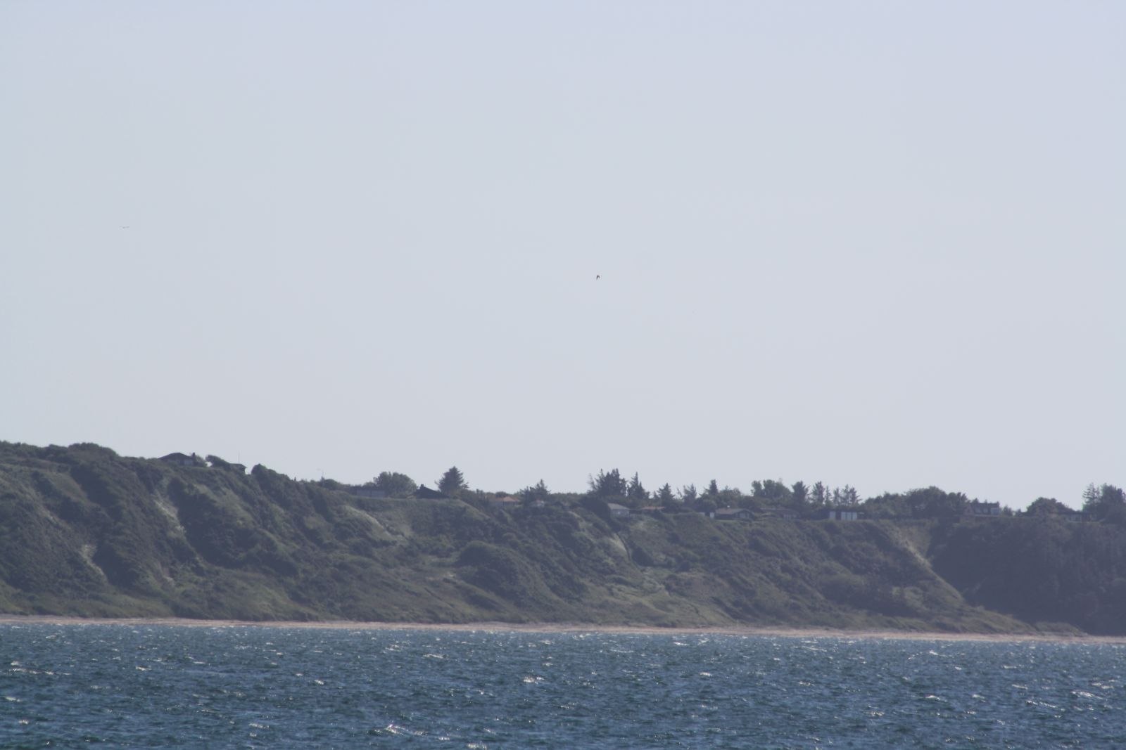 Natursti Oddesund Nord